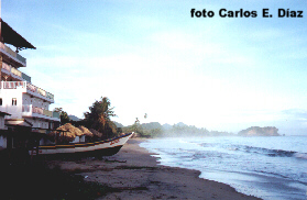 Foto tomada 
  desde la orilla de la playa en la cual pueden ver el hotel La Pionera del lado 
  izquierdo